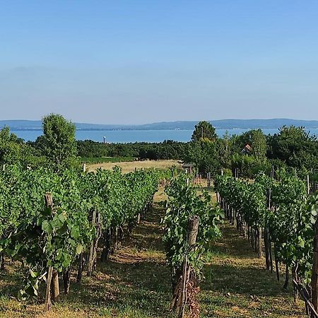 Kishaz A Szolohegyen Appartement Balatonakali Buitenkant foto