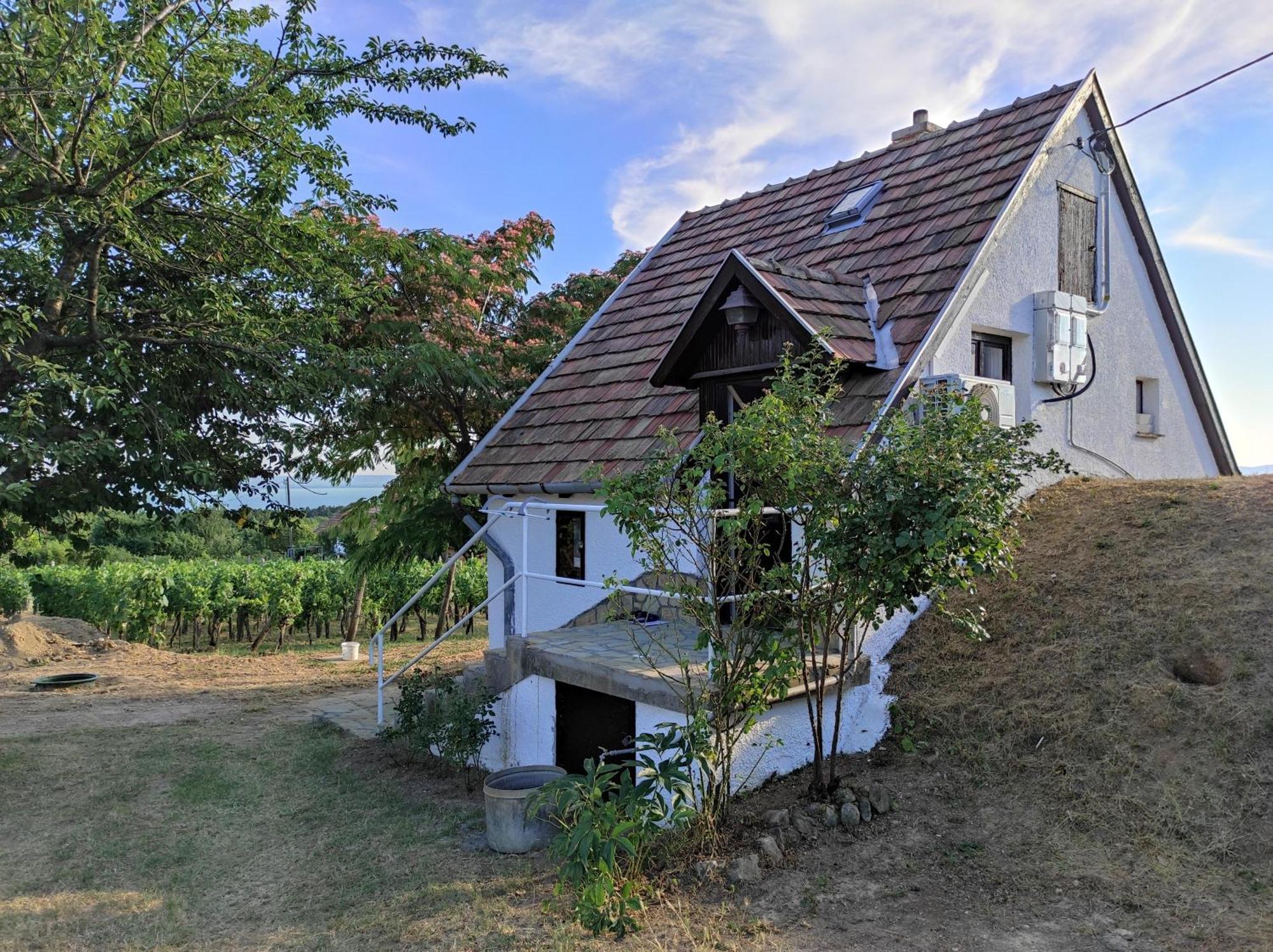 Kishaz A Szolohegyen Appartement Balatonakali Buitenkant foto